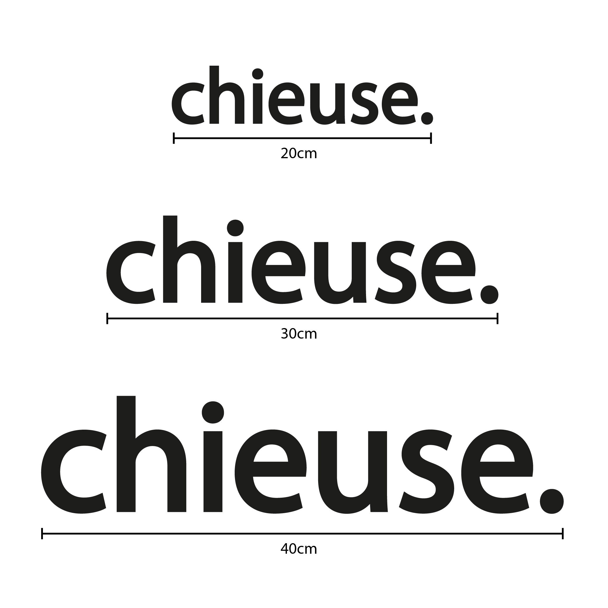 Visuel du mot “chieuse.” en impression 3D (PLA) couleur noire, présenté en trois largeurs avec repères : 20 cm, 30 cm et 40 cm, sur fond blanc.