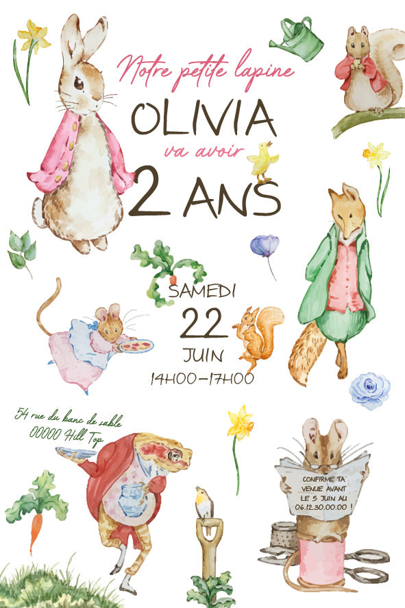 Invitation anniversaire personnalisable - Pierre Lapin