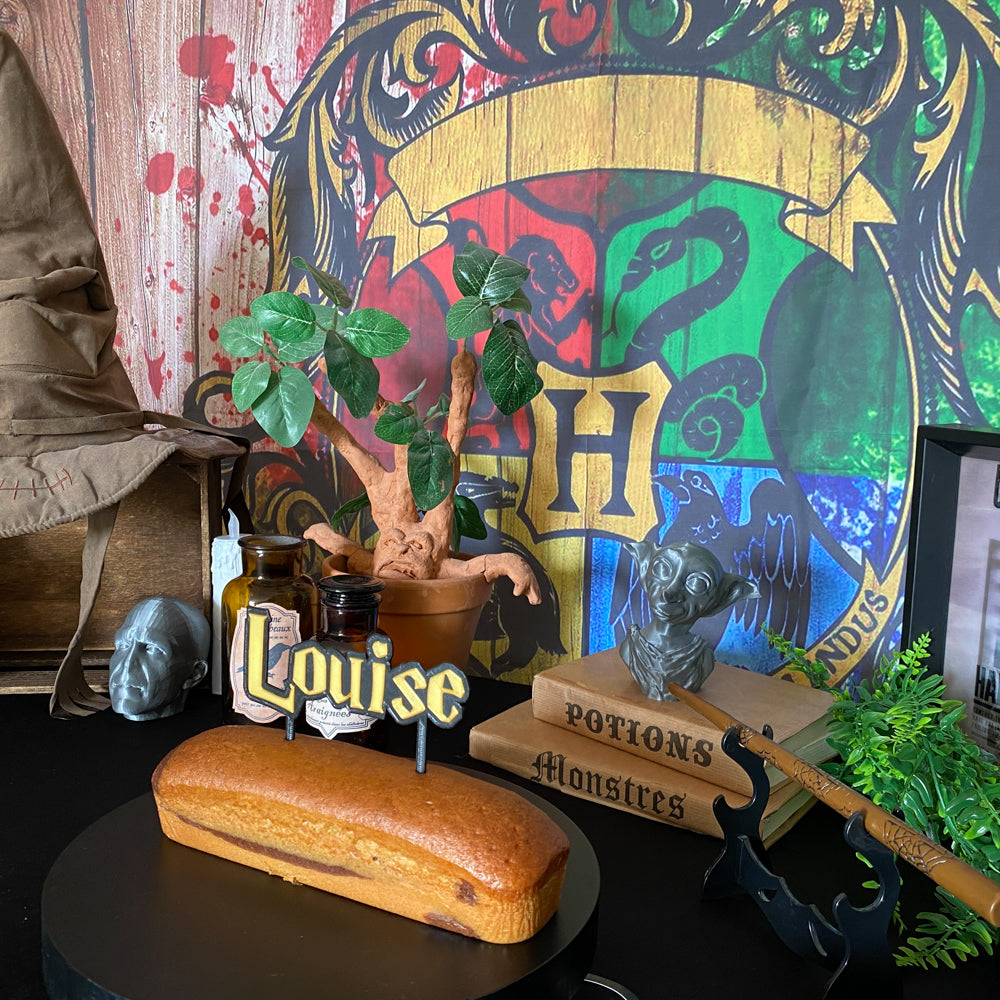 Table anniversaire avec Cake topper style Harry Potter